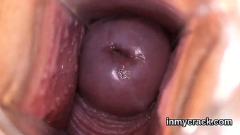 sex toy gape masturbation toy solo cunt close up ass