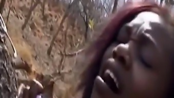interracial fucking face fucked rough outdoor african doggystyle ebony