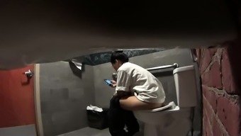 spy hidden cam hidden cam brown voyeur toilet public fetish brunette amateur