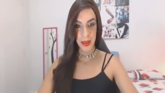 stroking pretty penis transsexual shemale