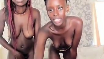 teen amateur german amateur masturbation hairy strip web cam african amateur