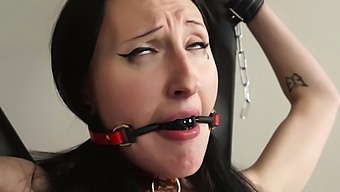 tied friendly transsexual bdsm shemale dirty